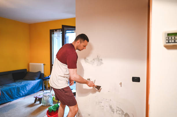 Best Commercial Mold Remediation in Palmer Ranch, FL